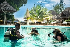Zanzibar 1 Day Scuba Diving Course for Beginners with Lunch