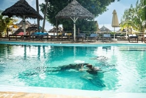 Zanzibar 1 Day Scuba Diving Course for Beginners with Lunch