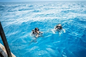 Zanzibar 1 Day Scuba Diving Course for Beginners with Lunch