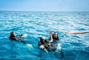 Zanzibar 1 Day Scuba Diving Course for Beginners with Lunch
