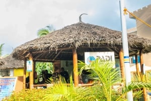 Zanzibar 1 Day Scuba Diving Course for Beginners with Lunch
