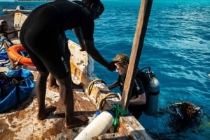 Zanzibar 1 Day Scuba Diving Course for Beginners with Lunch