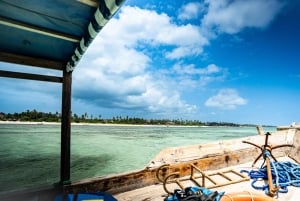 Zanzibar 1 Day Scuba Diving Course for Beginners with Lunch