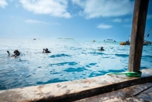 Zanzibar 1 Day Scuba Diving Course for Beginners with Lunch