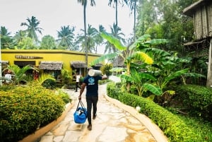 Zanzibar 1 Day Scuba Diving Course for Beginners with Lunch