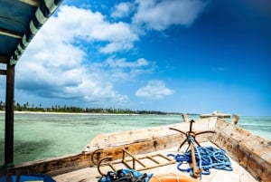 Zanzibar 1 dag duiken dubbele duik, blauwe trip ervaring