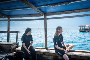 Zanzibar 1 dag duiken dubbele duik, blauwe trip ervaring