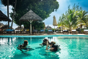 Zanzibar 2 Days PADI Scuba Diver Course (+ 2 OW Dives) Tour