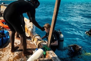 Zanzibar 2 Days PADI Scuba Diver Course (+ 2 OW Dives) Tour