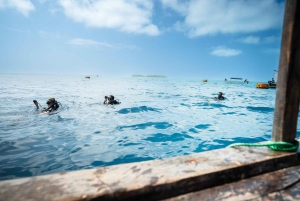 Zanzibar 2 Days PADI Scuba Diver Course (+ 2 OW Dives) Tour