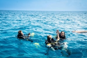 Zanzibar 2 Days PADI Scuba Diver Course (+ 2 OW Dives) Tour