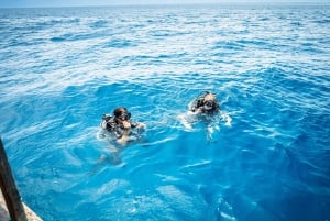 Zanzibar 2 Days PADI Scuba Diver Course (+ 2 OW Dives) Tour