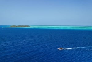 Zanzibar 2 Days PADI Scuba Diver Course (+ 2 OW Dives) Tour