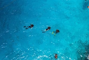 Zanzibar 2 Days PADI Scuba Diver Course (+ 2 OW Dives) Tour