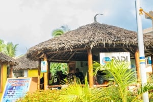 Zanzibar 2 Days PADI Scuba Diver Course (+ 2 OW Dives) Tour