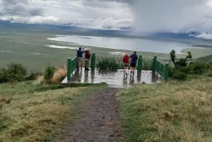 Zanzibar: 2-dagars safari i Serengeti med flyg