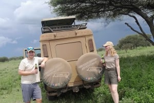 Zanzibar: 2-dagars safari i Serengeti med flyg