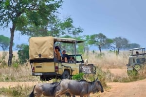 Zanzibar : Safari de 3 jours dans le parc national de Mikumi avec trajet en ferry