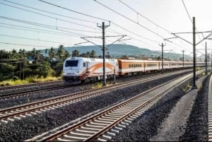 Zanzíbar: Safari de 3 días por el Parque Nacional de Mikumi con el Tren SGR
