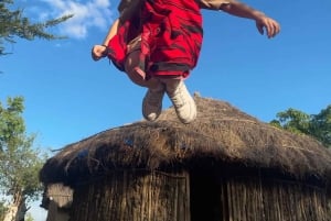 Zanzíbar: Safari de 3 días por el Parque Nacional de Mikumi con el Tren SGR