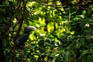 Zanzibar: 3-Day Northern Safari with Flights Included