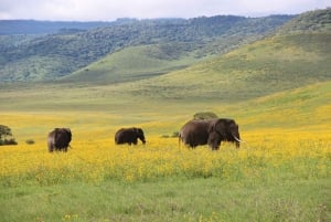 Zanzibar: 3-Day Northern Safari with Flights Included