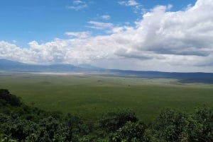 Zanzibar: 3-Day Northern Safari with Flights Included