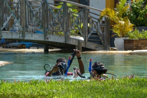 Zanzibar: Curso de mergulho em águas abertas PADI de 3 dias