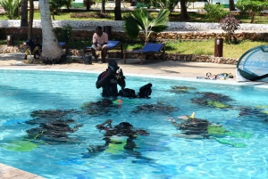 Zanzibar: 3-dagers PADI Open Water dykkekurs med åpent vann