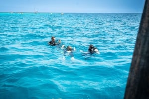 Zanzibar: 3 päivän PADI Open Water -sukellusseikkailu