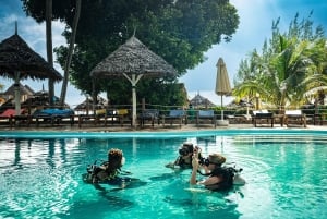 Занзибар: 3-дневный курс дайвинга PADI Open Water