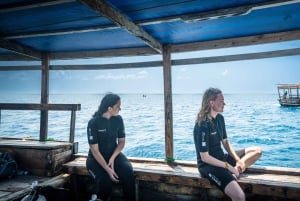 Занзибар: 3-дневный курс дайвинга PADI Open Water