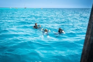 Занзибар: 3-дневный курс дайвинга PADI Open Water