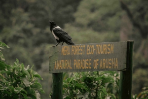 Sansibar: 3-tägige Safari nach Tarangire, Ngorongoro und Arusha