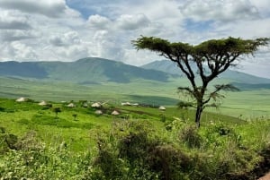 Sansibar: 3-tägige Safari nach Tarangire, Ngorongoro und Arusha