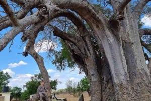 ザンジバルでフェリーとSGRを利用したミクミ国立公園サファリ（2泊3日）