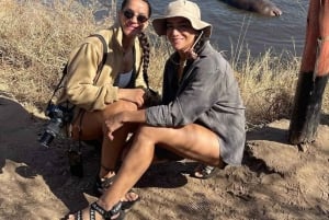 ザンジバルでフェリーとSGRを利用したミクミ国立公園サファリ（2泊3日）