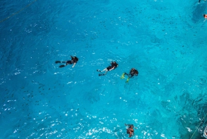 Sansibar 3 päivää sukellus kuusi sukellus: sininen matka kokemus