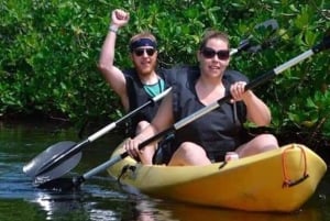 ザンジバル：マングローブの森を巡る3時間カヤックツアー