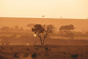 Sansibar: 4-tägige Serengeti- und Ngorongoro-Fly-In-Safari