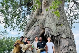 Zanzibar: 4-dages fly-in safari til Serengeti og Ngorongoro