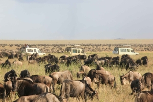 Zanzibar: Safari di 4 giorni nel Serengeti e Ngorongoro con volo incluso
