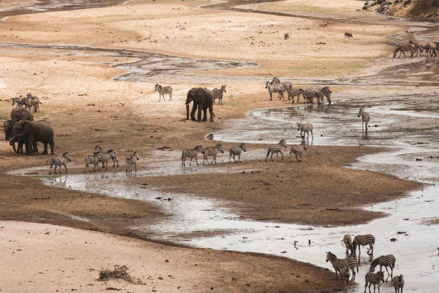 Zanzibar: 4-Day Tarangire, Serengeti & Ngorongoro Safari