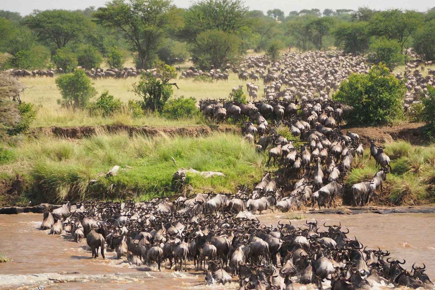 Zanzibar: 4-Day Tarangire, Serengeti & Ngorongoro Safari