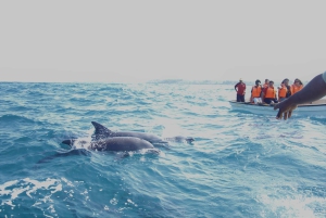 Zanzibar 4 dager 3 netter-pakke