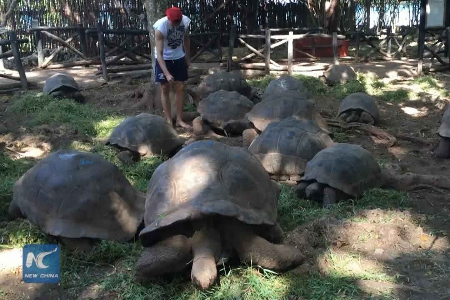 ЗАНЗИБАР: 4-дневный полный пакет экскурсий с трансфером из аэропорта