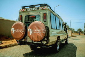 Zanzibar: Safári de 5 dias no Serengeti e Ngorongoro com voos