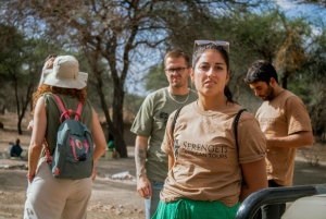 Zanzibar: Safári de 5 dias no Serengeti e Ngorongoro com voos