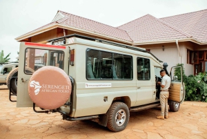 Zanzibar: Safári de 5 dias no Serengeti e Ngorongoro com voos