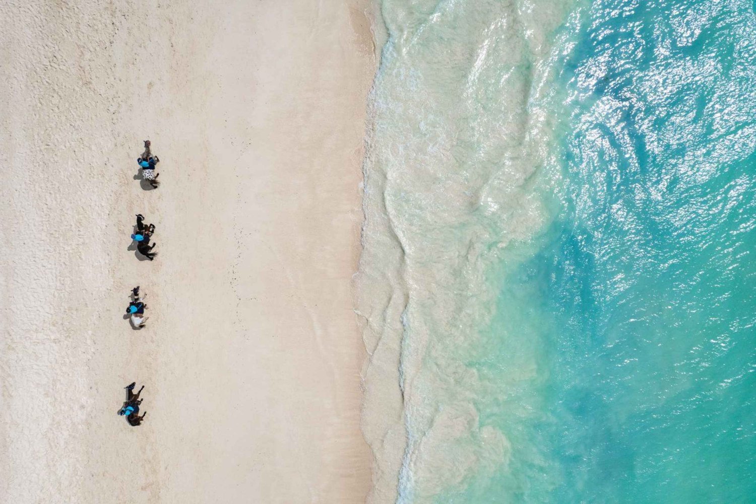 Zanzibar: 60 minutters ridetur